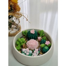 Serenity Sanat Kase Renkli Kase Mum