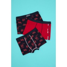 U.S. Polo Assn. Erkek Çocuk 3'lü Boxer Takım 50319393-VR033