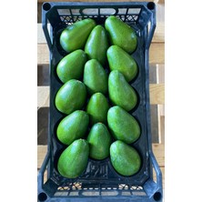 Avolife Hass Avokado