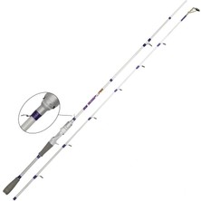 Wily Joys Bot 210CM 60-200 gr Bot Tekne Kamışı