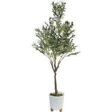 Nettenevime Yapay Zeytin Ağacı 185CM Doğal Görünümlü Yapay Ağaç Beyaz 25CM Zigon Saksıda