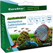 Sptrns Eurostar Bitki Tohumu Hemianthus Callitrichoides