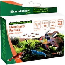 Sptrns Eurostar Bitki Tohumu Eleocharis Parvula