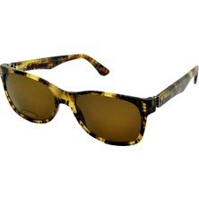 Cartier Cartıer Vıntage Premıère Mıles Havana Brown Kahverengi Unısex Polarize Wayfarer Güneş Gözlüğü
