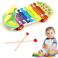 Renkli Tavus Kuşu Ksilafon Selefon Müzik Aleti Oyun Hediye