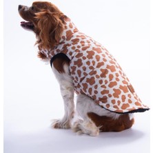 Pawstar Moshi Mood Zürafa Desen Yelek Köpek Yeleği Köpek Kıyafeti Köpek Yağmurluk