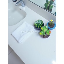 Renk Yapı Rüyası 3lü Kaktüs Biblo, Dekoratif Modern Kaktüs Çiçeği,  Biblo