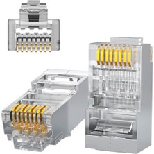 ねコネコ ゴールドデントKD502（RM100） | カネコ種苗株式会社 | 未来をひらく