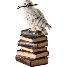 Rakun Home Kitap Yığını Üzerindeki Sihirli Değnekli Hedwig Kar Baykuşu Biblosu / Küçük Boy