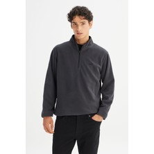 Lee Regular Fit Normal Kesim Fermuarlı Dik Yaka Polar