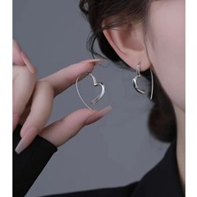 Erdesign Kadın Ithal Gümüş Çelik Kalp Küpe Kadın Küpe Ithal Küpe