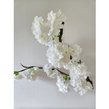 Decoroon El Yapımı Beyaz Çiçekli Sakura Dalı Duvar Dekoru – Doğal Ağaç Gövdesi Çiçek Tasarımı
