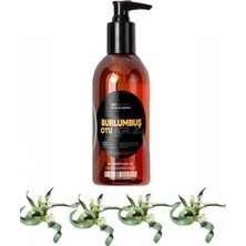 Burlumbuş Otu Rahatlatıcı Bakım Masaj Jeli 120 ml x 1 Adet