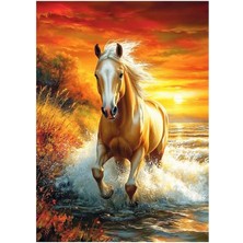 Storemax 1000 Parça - Free Horse (Özgür At)