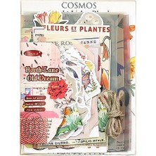 Storemax Lane Old Temalı Parşömen Kağıt Set