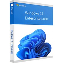 Microsoft Windows 11 Enterprise LTSC 2024 Lisans Key