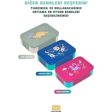 Storemax Bento 900ML Lunchbox Tek Katlı 2 Bölmeli Pp Plastik Çocuk Sefer Tası Yemek Kutusu (Lacivert)