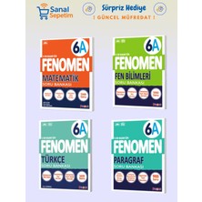 Belirtilmemiş 6. Sınıf Matematik + Fen Bilimleri + Türkçe + Paragraf (A Set) Soru Bankaları