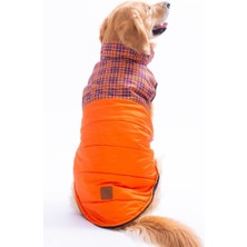Pawstar Turuncu Elgin Paws Su İtici Orta-Büyük Irk Köpek Puf Yelek Yağmurluk
