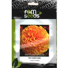 Iklim Bahçe Top Kadife Çiçek Tohumu Sarı Renk - Tagetes Erecta Yellow (~ Takribi 50 Tohum)