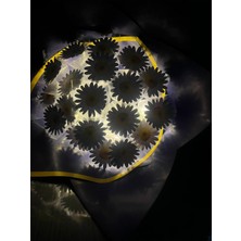 Kayzen Ledli Papatya Buketi