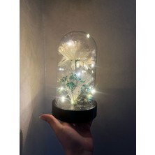 Kayzen Kasımpatı Işıklı Fanus