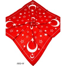 Huzurlu 1923 Ay Yıldız Polyester Yazma