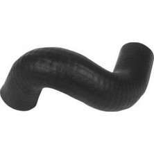 GB Xmpdby 1519 Radyatör Alt Hortumu R19 Dzl-Exp