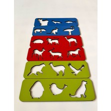 Empressco 3 Renkli Ahşap El Kası Geliştirme ve Şekil Çalışmaları Seti