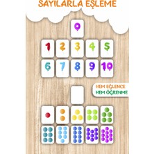 Empressco Ahşap Sayılar ve Renkler Zeka Kartları Eşleştirme Oyunu, Okul Öncesi Eğitim