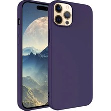 Royal Case iPhone 12 Pro Kılıf Esnek Yapılı Ince Standart Ruber Kapak Ryc/first