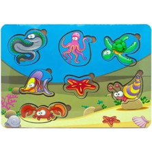 Empressco Çocuklar Için Ahşap Bul-Tak Zeka Oyunu, Eğlenceli ve Öğretici Oyun Seti