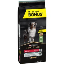 Pro Plan Medium Adult Kuzu Etli Köpek Maması - 16,5 Kg
