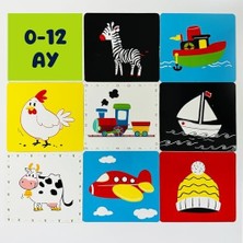 Storemax Öğreniyor Tak-Çıkar Kartlarım 12-24 Ay