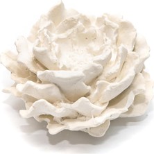 Storemax ml Oda Kokusu Için Ekru Gül Yedek Fitilli Taş