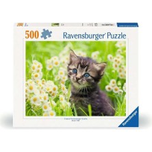 Storemax 500P Puzzle Kedi Foto, Yapboz