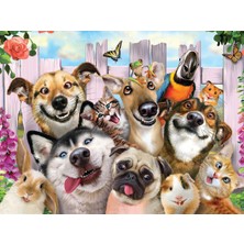 Storemax 3D - Pet Selfie - 500 Parça Yetişkin Puzzle