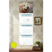 Artlantis 2026 Duvar Takvimi 3 Aylık Hayvan Resimli Gemici Takvimi 3 Parça Spiralli Takvim Jumbo Boy Askılı Yeni Yıl Takvim