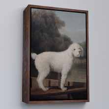 Oxyteez Ahşap Çerçeveli George Stubbs Beyaz Kaniş TABLO-8034