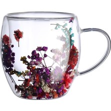 Storemax Çift Cidarlı Borosilikat Cam 2’li Set 250 ml Kurutulmuş Çiçek Detaylı Dayanıklı Kulplu, Şeffaf Estetik Çay Kahve Bardağı, Isı Yalıtımlı, Dayanıklı Cam Tasarım