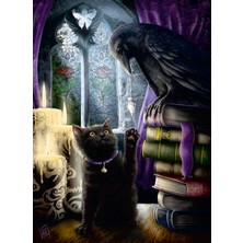 Storemax 500P Puzzle Karga ve Kedi, Yapboz