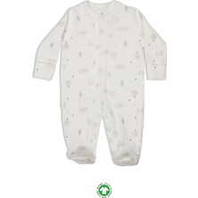 The Log İnvest Always Dream Tulum 15111 Ekru Bej