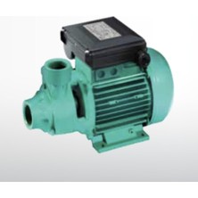 Wilo Peripheral Pv 50 T