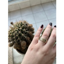 Asteria Jewelry Crt Love Ayarlanabilir Yüzük