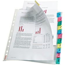 Storemax Poşet Dosya Ayraçlı 12 Li 414170