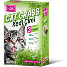 Hobi Kedi Çimi - Cat Grass (3 Kullanımlık)   Doğal Buğday Tohumlu Sağlık Desteği