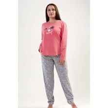 The Log İnvest K204179 Vienetta