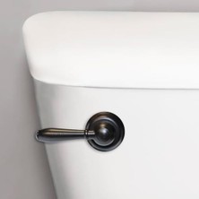 Storemax 6081BP Strongarm Depo Kolu Evrensel Ön Açılı Yan Sol ve Sağ Montaj Tuvaletlerine Uyar, Yağla Pürüzsüzleştirilmiş Bronz, Musluk Stili