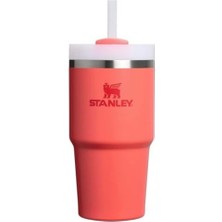 Storemax Pipetli Termos Bardak, (Hot), 0.60 Litre
