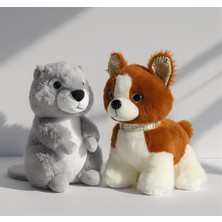 Storemax Neşeli Peluş Kankalar 2'li Peluş Oyuncak Seti, Yumuşak Polyester, 25-45 Cm, 6 Farklı Karakter Ikilisi, 3+ Yaş, Oyun ve Uyku Arkadaşı (Pırıltı ve Nehir'in Parıltısı)